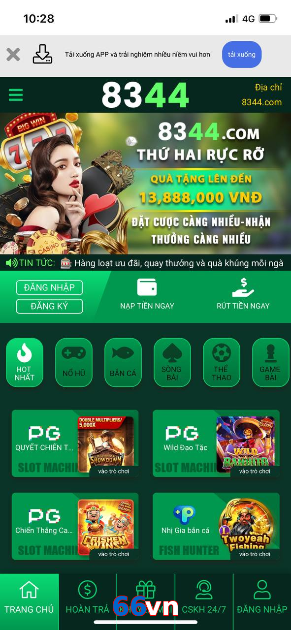 66vn