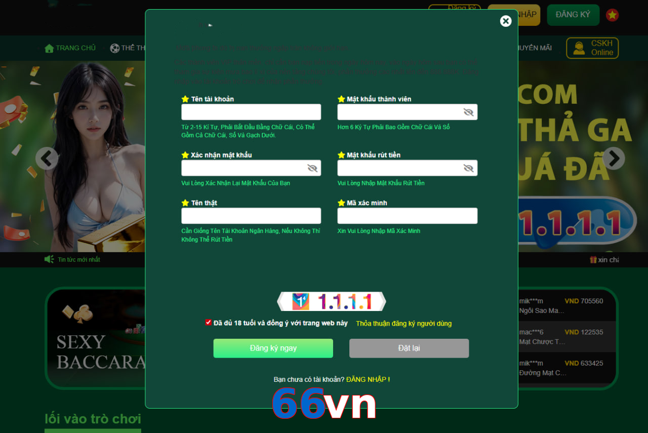 66vn
